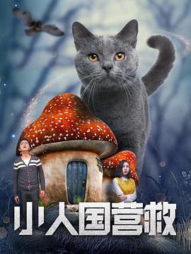 一级毛片免费一级直接观看